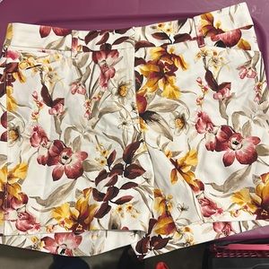 White House Black Market shorts NWT